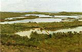 Estuary Canvas Paintings - A River Estuary